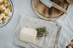 Primus CampFire Knife Large -EventyrGrej Salgsbutik 72200064 4